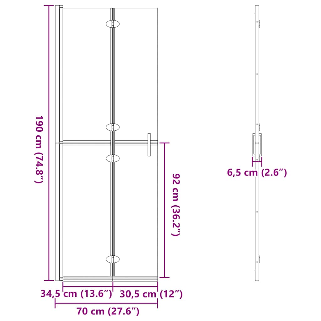 Walk-in shower wall Black and dark transparent 70 x 190 cm