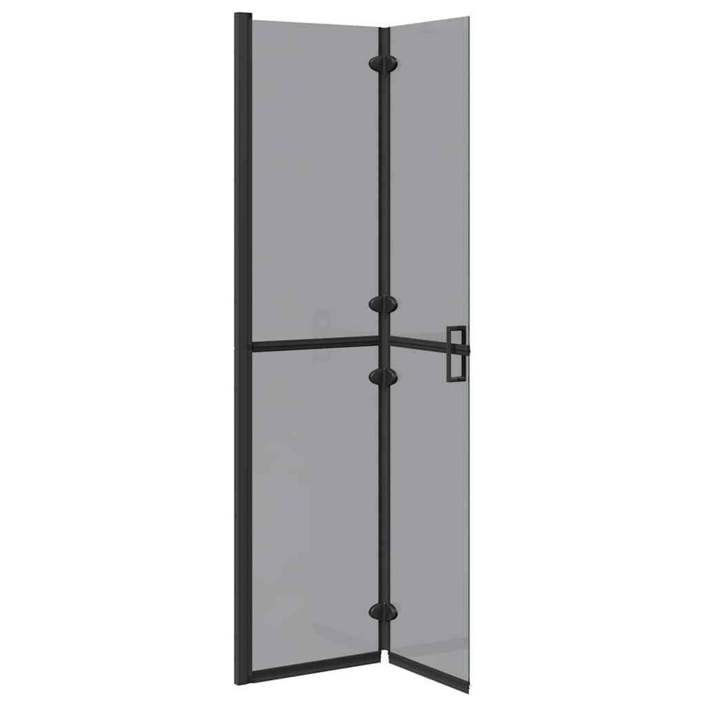 Walk-in shower wall Black and dark transparent 90 x 190 cm
