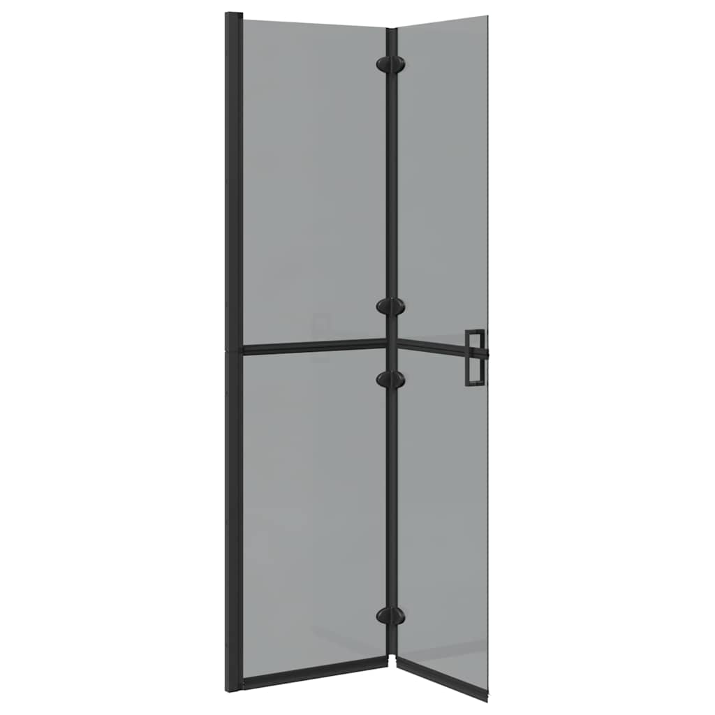 Walk-in shower wall Black and dark transparent 100 x 190 cm