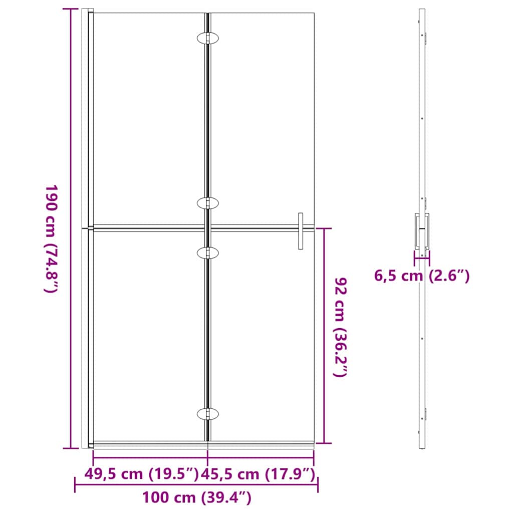 Walk-in shower wall Black and dark transparent 100 x 190 cm