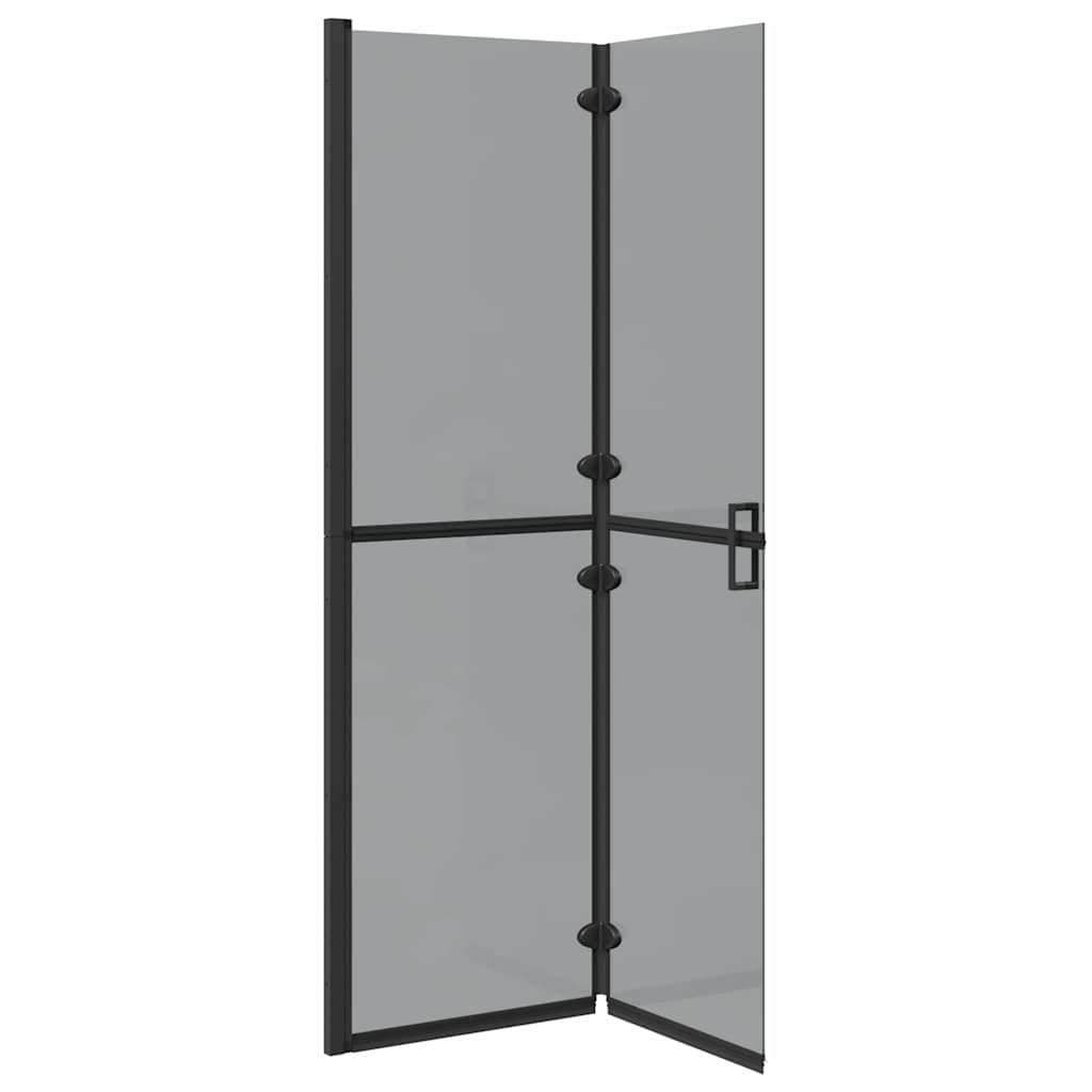 Walk-in shower wall Black and dark transparent 110 x 190 cm