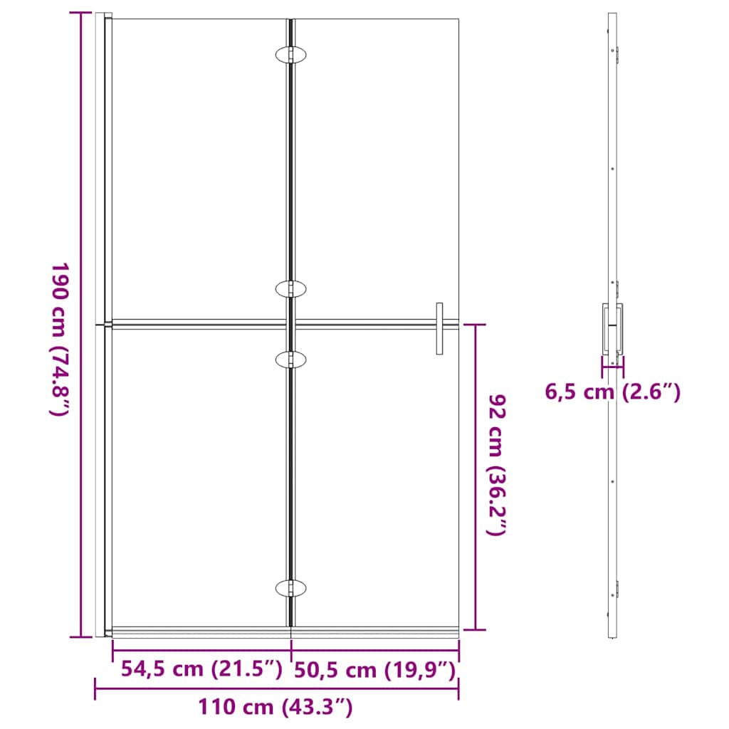 Walk-in shower wall Black and dark transparent 110 x 190 cm