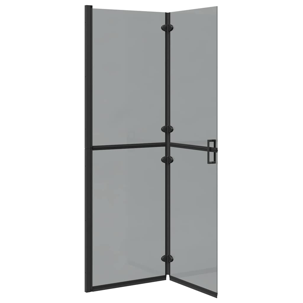 Walk-in shower wall Black and dark transparent 120 x 190 cm