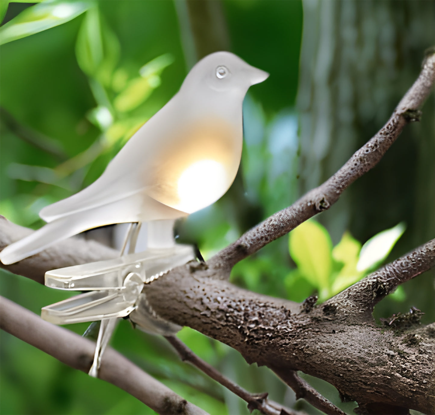 Clip-On Bird Decoration with Solar Light Set of 5
