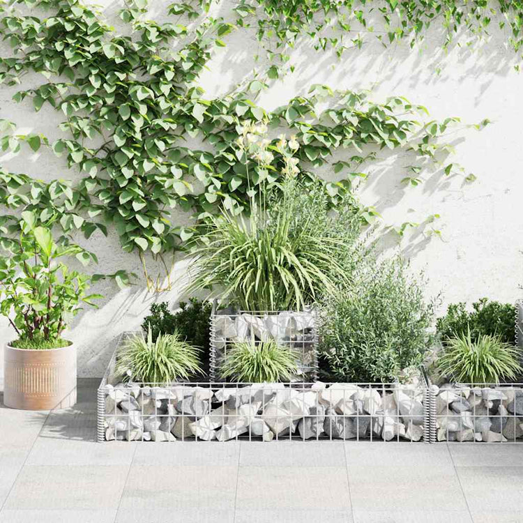 Home & Garden