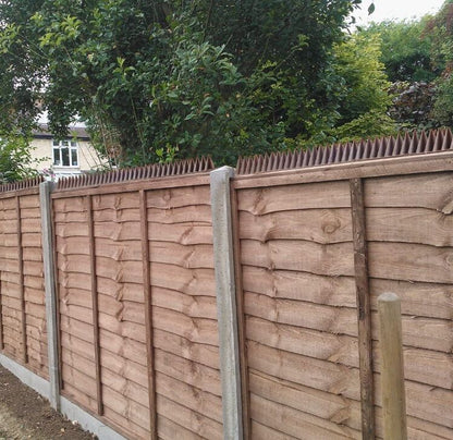 Security Spikes Brown