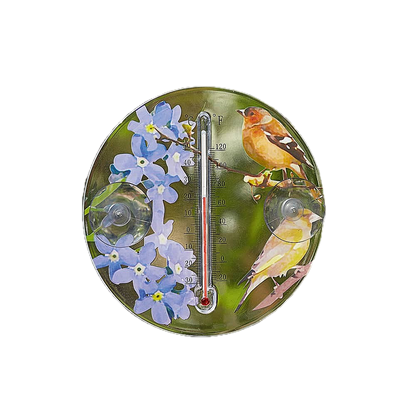 Outdoor Window Thermometer