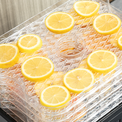 5 Tier Food Dehydrator 245W Stainless Steel Food Dryer Machine Timer LCD Silver