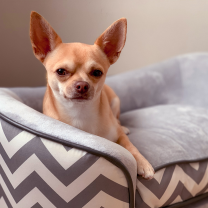 PawHut Dog Sofa Pet Couch for XS Dogs with Removable Sponge Padded Cushion Grey