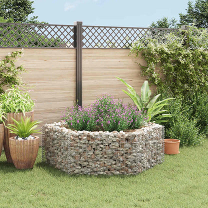 Hexagonal Gabion Raised Bed 160x140x50 cm
