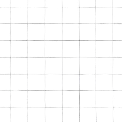 Chicken Wire Fence Galvanised Steel 10x0.5 m Silver