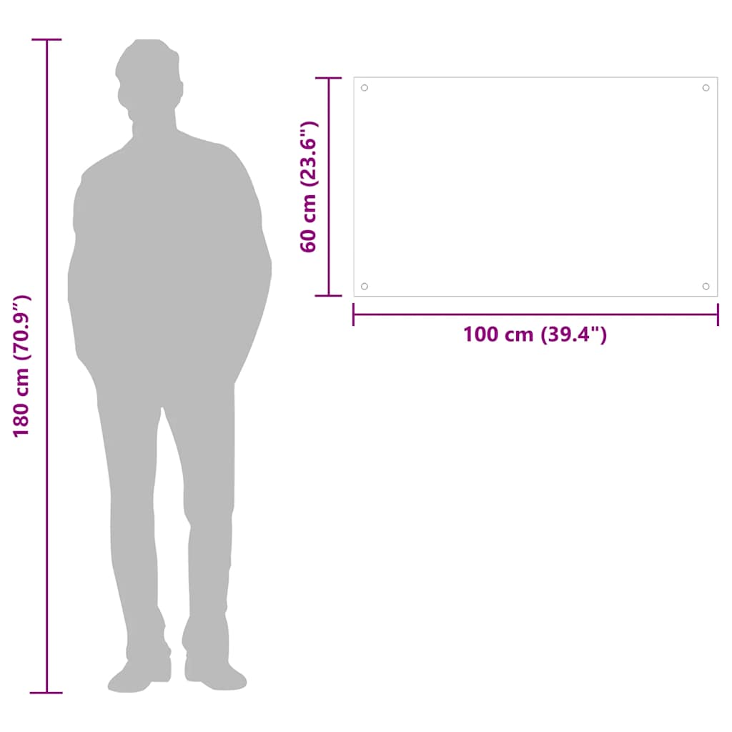 Kitchen Backsplash Transparent 100 x 60 cm Tempered Glass