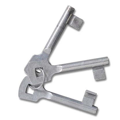 Double Door Fence Gate 300x150 cm Powder-Coated Steel