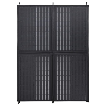 Foldable Solar Panel Charger 100 W 12 V