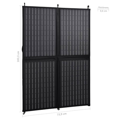 Foldable Solar Panel Charger 100 W 12 V
