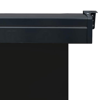 Balcony Side Awning 65x250 cm Black