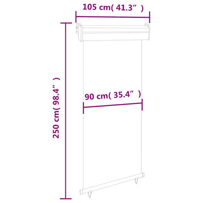 Balcony Side Awning 105x250 cm Black