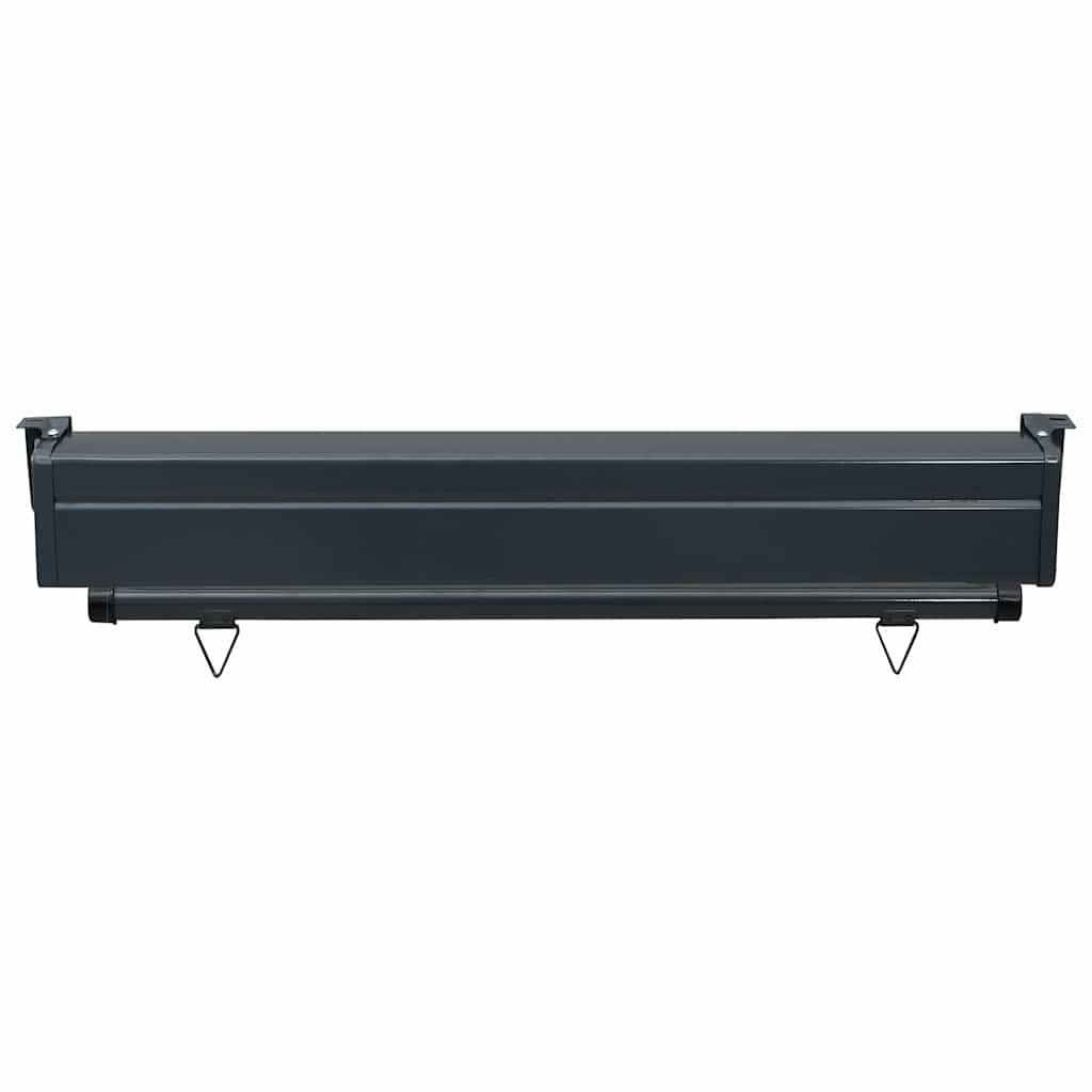 Balcony Side Awning 105x250 cm Brown