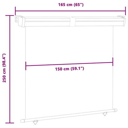Balcony Side Awning 165x250 cm Blue
