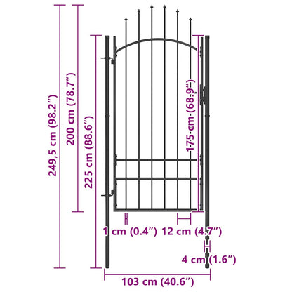 Garden Gate Steel 1x2.5 m Black