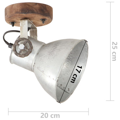 Industrial Wall/Ceiling Lamps 2 pcs Silver 20x25 cm E27