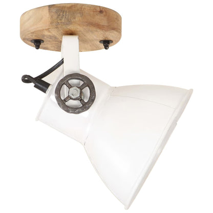 Industrial Wall/Ceiling Lamps 2 pcs White 20x25 cm E27