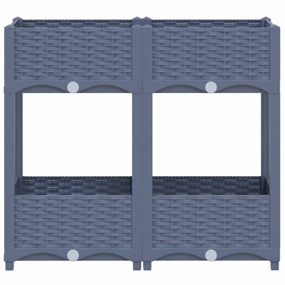 Raised Bed 80x40x71 cm Polypropylene