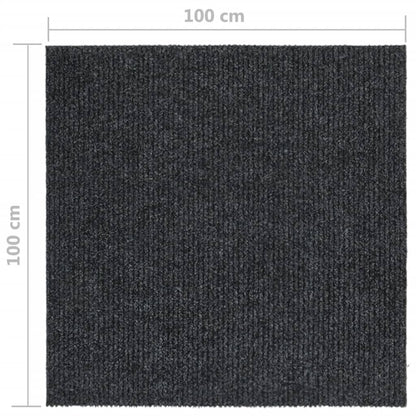 Dirt Trapper Carpet Runner 100x100 cm Anthracite