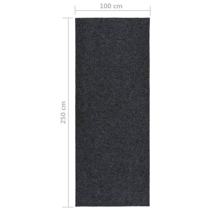 Dirt Trapper Carpet Runner 100x250 cm Anthracite