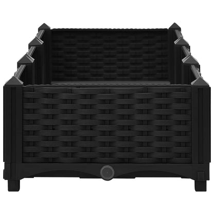 Raised Bed 120x40x23 cm Polypropylene