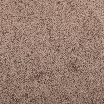 Doormat  Brown 40x60 cm