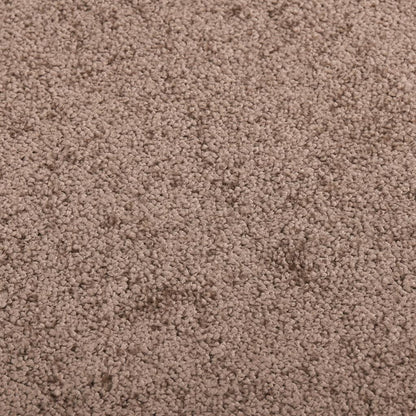 Doormat Brown 80x120 cm