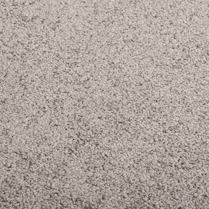 Doormat Grey 80x120 cm