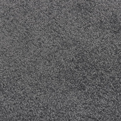 Doormat Anthracite 60x80 cm