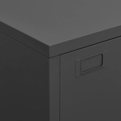 Industrial Storage Chest Anthracite 75x40x115 cm Metal