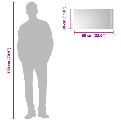 LED Bathroom Mirror 60x30 cm