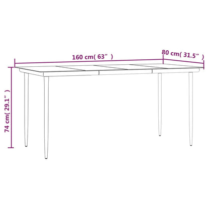 Garden Dining Table Black 160x80x74cm Steel and Tempered Glass
