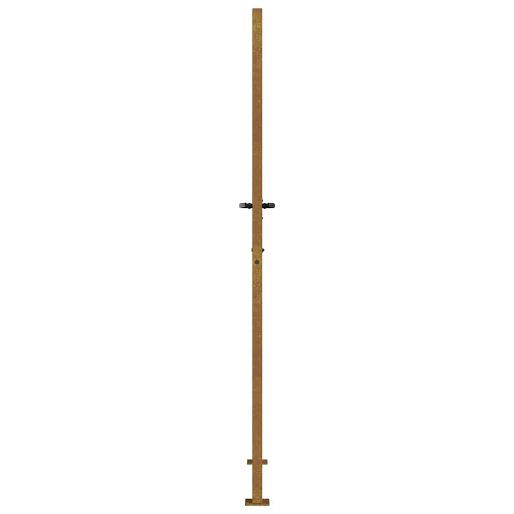 Garden Gate 105x205 cm Corten Steel Grass Design