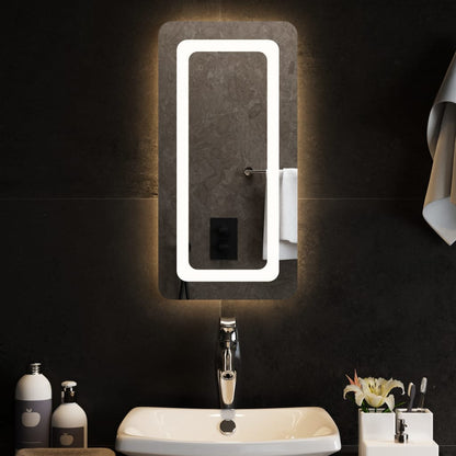 LED Bathroom Mirror 30x60 cm