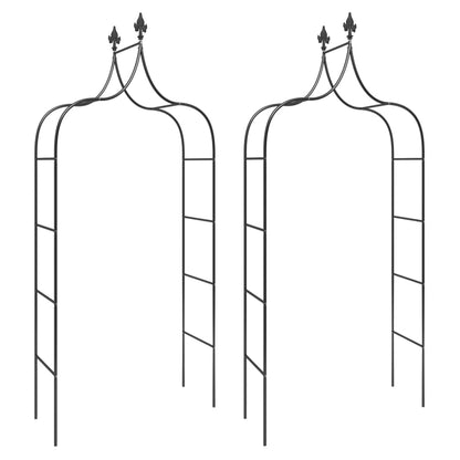 Garden Arches 2 pcs Black 120x38x260 cm Steel