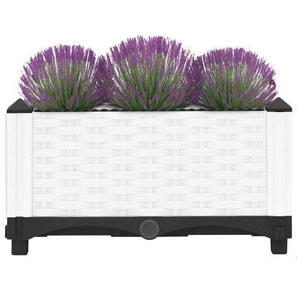 Raised Bed 40x40x23 cm Polypropylene