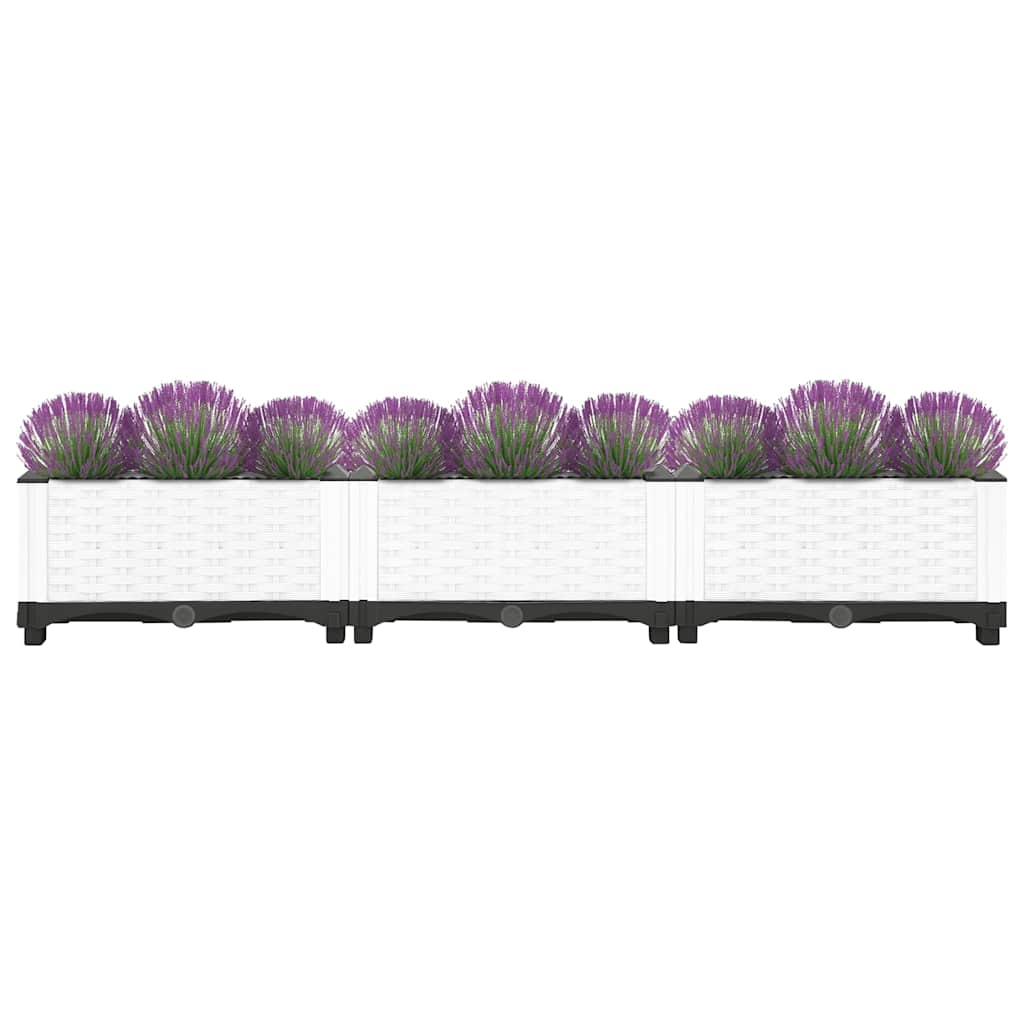 Raised Bed 120x40x23 cm Polypropylene