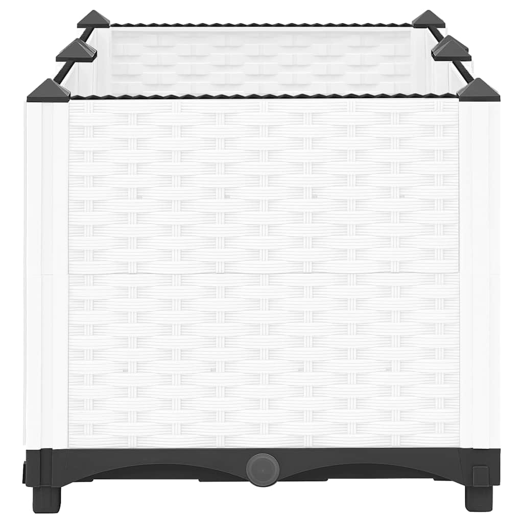 Raised Bed 80x40x38 cm Polypropylene