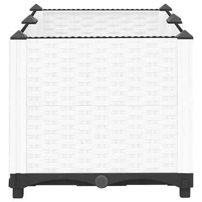 Raised Bed 80x40x38 cm Polypropylene