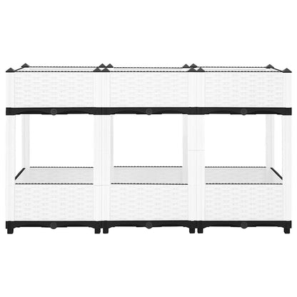 Raised Bed 120x40x71 cm Polypropylene