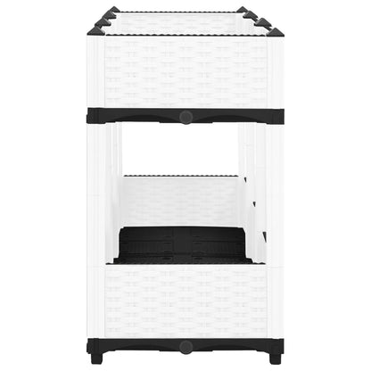 Raised Bed 120x40x71 cm Polypropylene