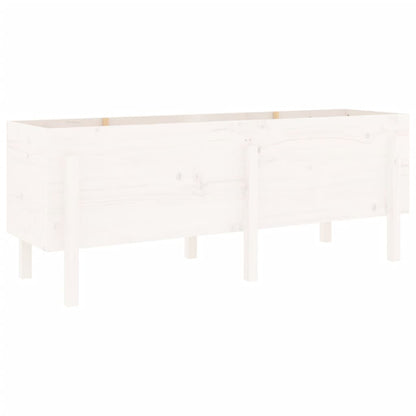 Garden Raised Bed White 160x50x57 cm Solid Wood Pine