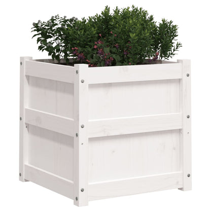 Garden Planter White 50x50x50 cm Solid Wood Pine
