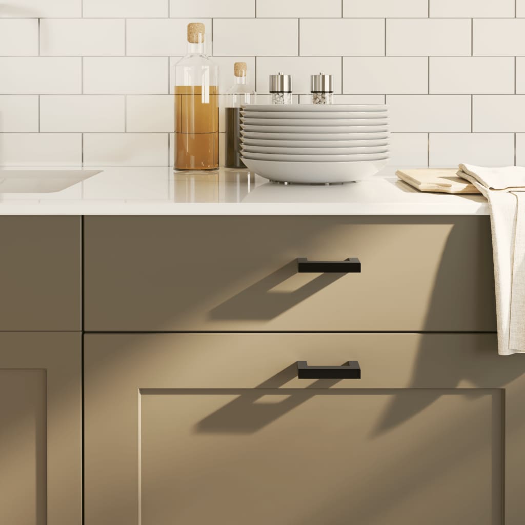 Cabinet Handles 20 pcs Black 64 mm Stainless Steel