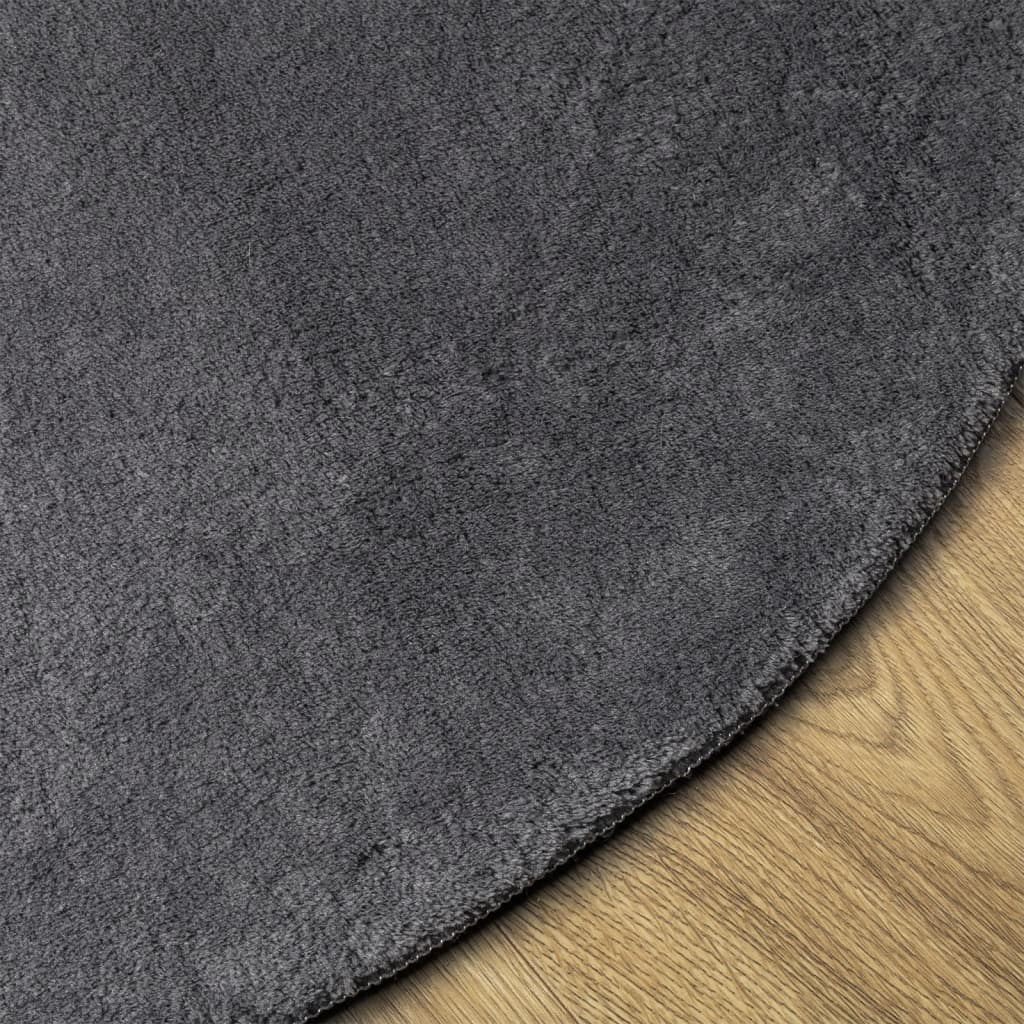 Rug HUARTE Short Pile Soft and Washable Anthracite Ø 100 cm